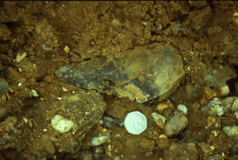 Aveley Belhus Park Acheulian Hand Axe in situ 27 May 1981 2 Copyright: Graham R Ward Archive 