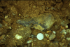 Aveley Belhus Park Acheulian Hand Axe in situ 27 May 1981 2 