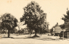 Shenfield Common near Brentwood