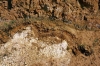 Chalk and Thanet Sand junction at Sandy Lane Quarry in 1979.