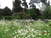 Fryerning Churchyard June 2012 