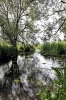 The River Roding - 3 (20 May 2011) 