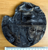 Bore Hole Core Carboniferous Fossiliferous  