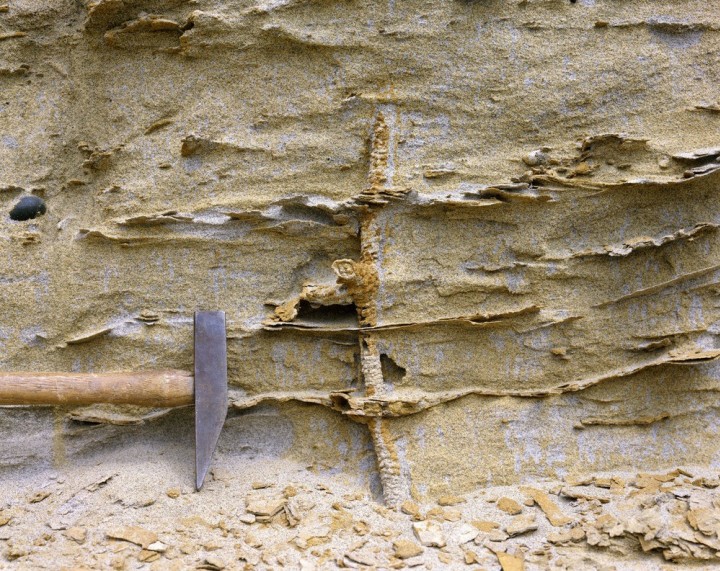 Orsett Depot Quarry (West Pit) in 1973 showing shrimp burrow. Copyright: Gerald Lucy