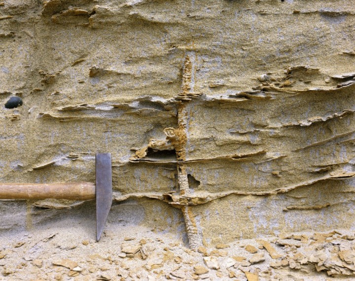 Orsett Depot Quarry (West Pit) in 1973 showing shrimp burrow. Copyright: Gerald Lucy