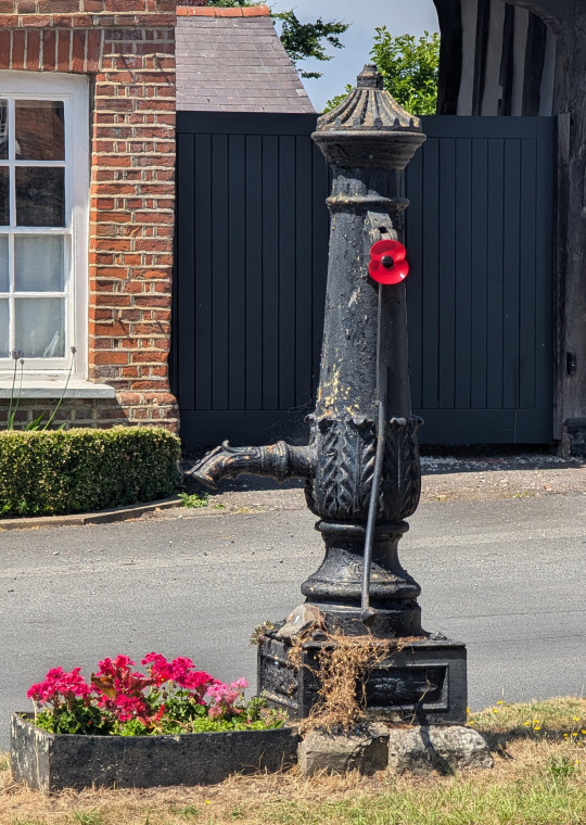 Hatfield Broad Oak Flag Village Pump 2025 Copyright: William George