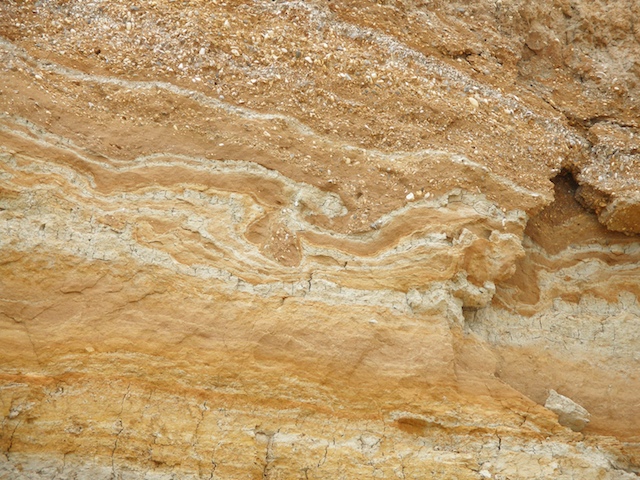 Involutions in the sediments at the top of the Naze cliffs. Copyright: Gerald Lucy