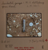 Littlebury Late Bronze Age Hoard M11 9 July 1978 slide 3 