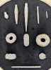 Phymosoma koenigi sea urchins detail