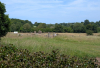Tilty Abbey 25 17 June 2025