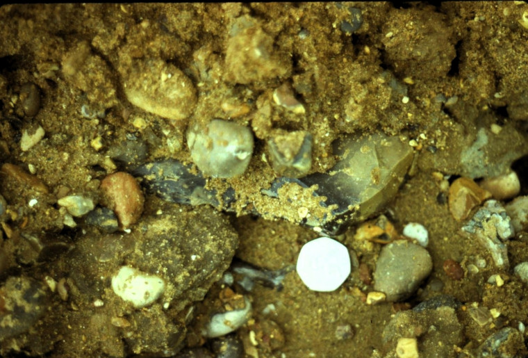 Aveley Belhus Park Acheulian Hand Axe in situ 27 May 1981 Copyright: Graham R Ward Archive 