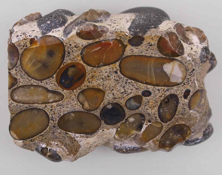Hertfordshire puddingstone from Newney Green found by B.E.Brett Copyright: Gerald Lucy