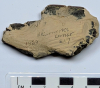 Fossil Hoploparia lobster from London Clay collected 1969 text 