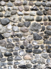 Mistley Exotic Cobbles Wall 