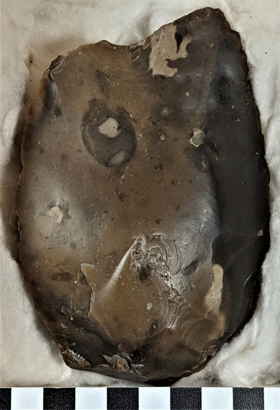 Acheulean handaxe 3b Copyright: William George