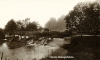 Beelleigh Maldon The Weir with trees Post Card 