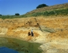 Ardleigh Gravel Pit in 1975 (general view) 