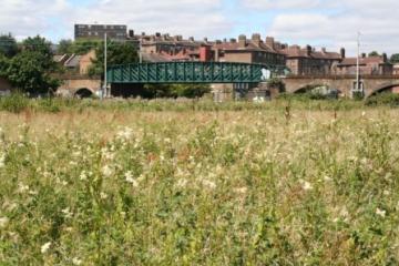 Walthamstow Marshes view Copyright: P.R. Harvey