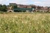 Walthamstow Marshes view