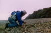 Collecting fossils on the beach at The Naze 