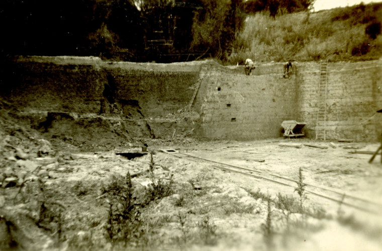 Marks Tey Clay Pit close up 1954 Copyright: C W Gurton Rural Crafts Essex 1954