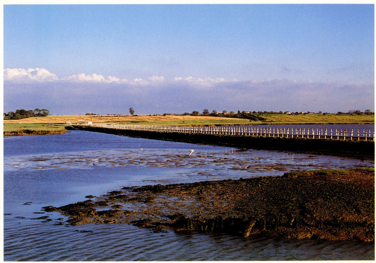 Mersea Island Strood Mark Mitchels 1992 Copyright: Mark Mitchels Essex A Portrait in Colour 1992