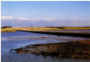 Mersea Island Strood Mark Mitchels 1992 