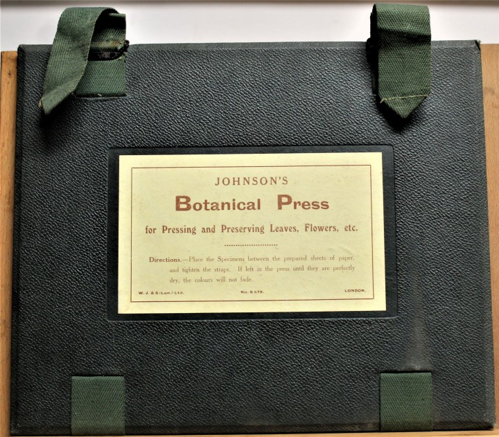 Johnson's Botanical Press circa 1920s Copyright: William George