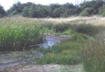 Littlebrook Lakes-pond Copyright: Peter Harvey