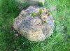 Hertfordshire Puddingstone Boulder 1 20 March 2011