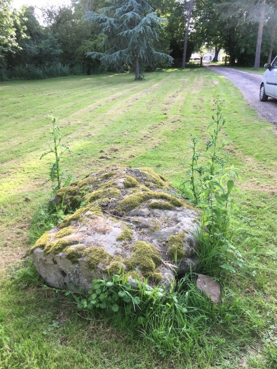 Ovington Hall Sarsen Stone with covering of moss (2021) Copyright: Gerald Lucy
