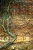 Harkstead Eocene Ash Bands 