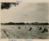 Maldon Landscape Near Photograph taken 20 March 1946