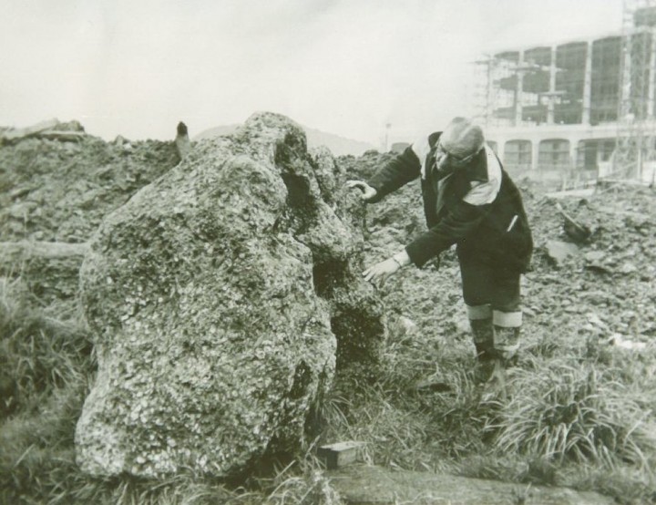The Harlow Puddingstone as found in 1966. Copyright: Courtesy of BP. Used with permission.