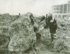 The Harlow Puddingstone as found in 1966.