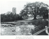 Fingringhoe Church Oak and Pond 1938