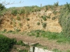 Low gravel cliff at Kennington Park. 