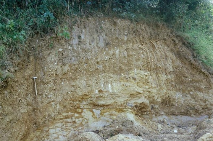 Great Sampford Howe Lane Pit (exposure near south face) in 1980 Copyright: British Geological Survey (P212629)