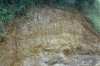 Great Sampford Howe Lane Pit (exposure near south face) in 1980
