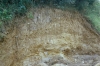 Great Sampford Howe Lane Pit (exposure near south face) in 1980 