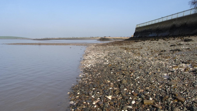 Purfleet Chalk exposed on beach near Royal Hotel 2017 Copyright: William George