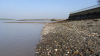 Purfleet Chalk exposed on beach near Royal Hotel 2017