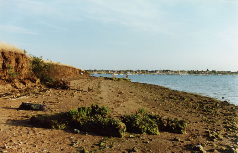 Maylandsea London Clay Exposure 1 Copyright: Graham R Ward Archive 