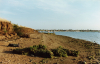Maylandsea London Clay Exposure 1 
