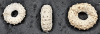 Pufleet three fossil echinoid Phymosoma 