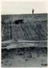 Aveley Mammoth Excavation 1964 10 