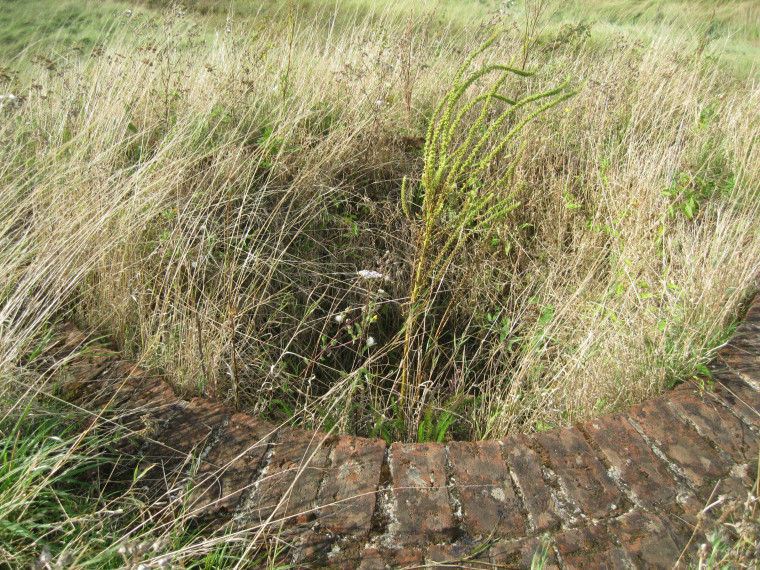 Beaumont top of Lime Kiln 1869 in August 2014 Copyright: William George