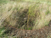 Beaumont top of Lime Kiln 1869 in August 2014 