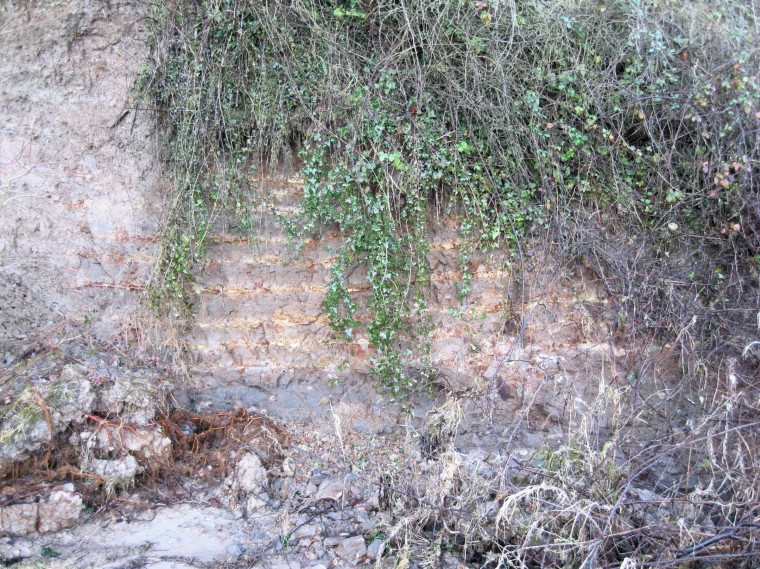 Wrabness Eocene Ash Bands in Cliff Copyright: William George