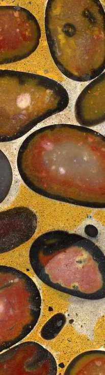 Polished puddingstone from Stanway Copyright: unknown